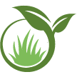 Honolulu Lawn Clean Up