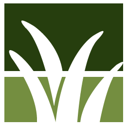 Honolulu Lawn Clean Up
