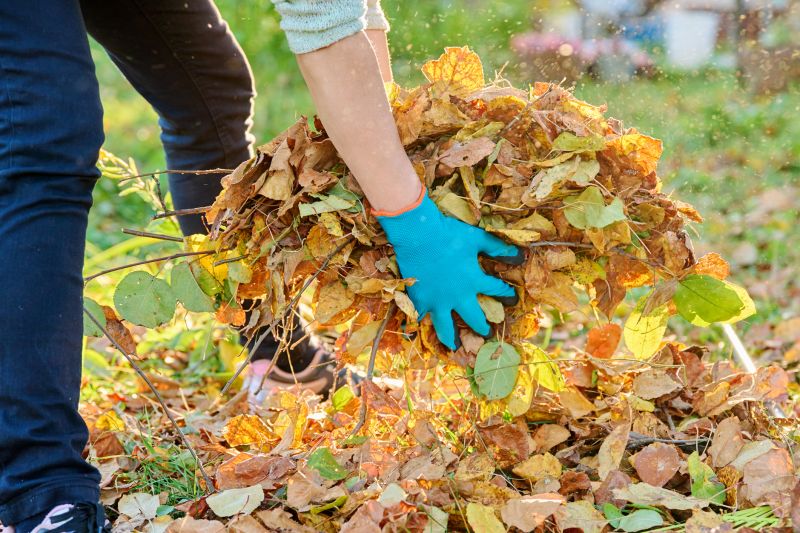 Leaves Being Collected