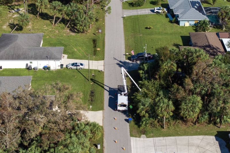 Leaf Hauling Service