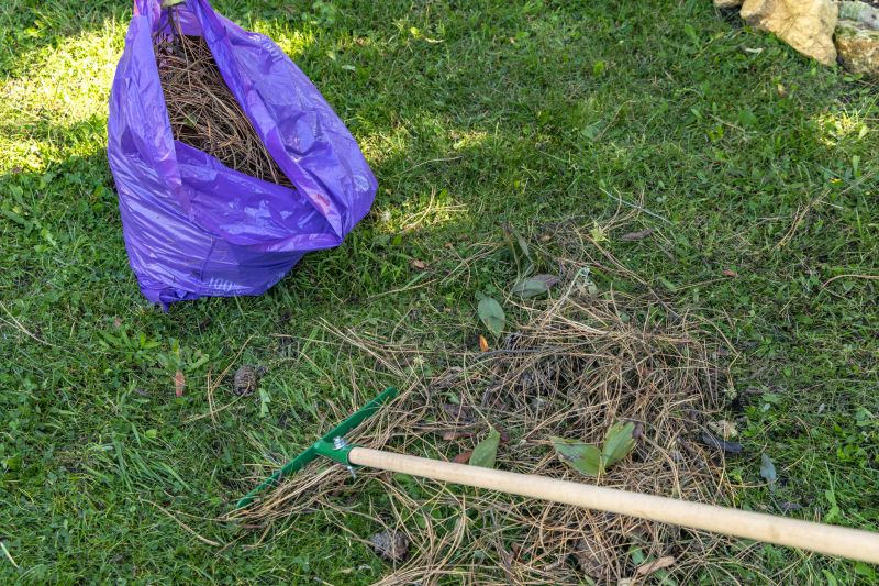 Pine Needle Raking