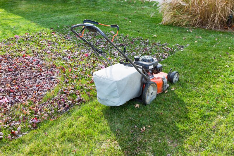 Seasonal Lawn Clean Up