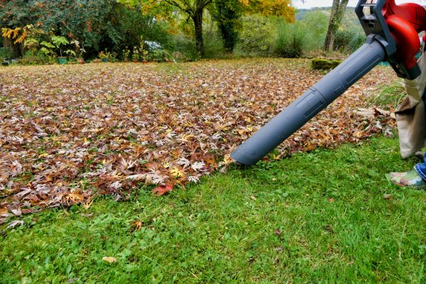 Cost of Leaf Vacuuming Service in Honolulu