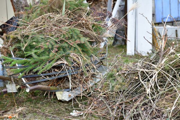 Cost of Yard Debris Removal in Honolulu