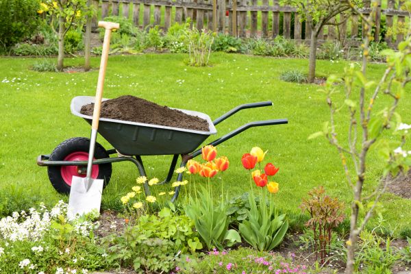 Cost of Spring Yard Cleanup in Honolulu