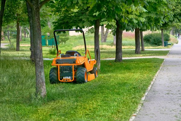 Cost of Landscaping Cleanup Service in Honolulu