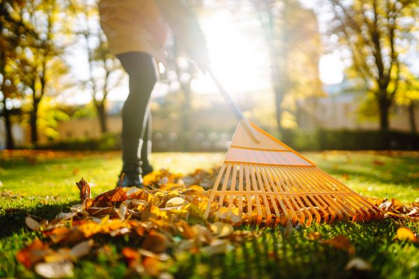 Cost of Leaves Raking in Honolulu