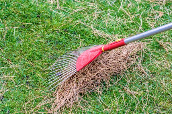 Cost of Yard Raking in Honolulu