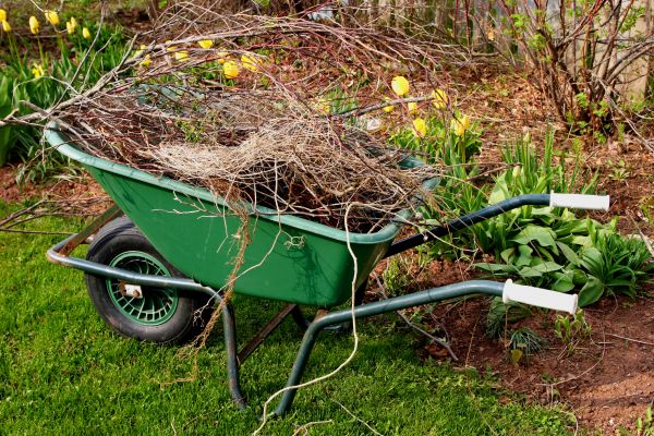 Cost of Lawn Waste Removal in Honolulu