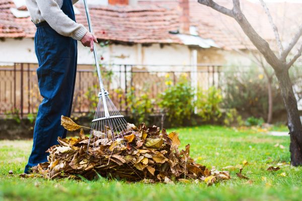 Cost of Fall Yard Cleanup Service in Honolulu