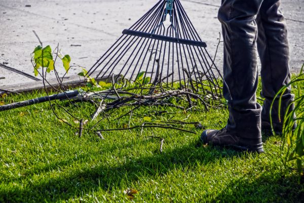 Cost of Yard Debris Cleanup in Honolulu
